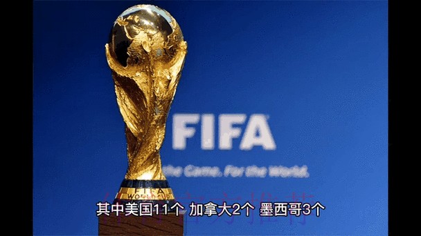 世界杯实时预测热门动态分析 世界杯实时预测热门动态分析
